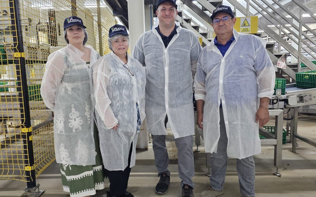 LOYLA Expands Global Reach with New Microwavable Artichokes and Successful CTPAT Audit in the U.S.