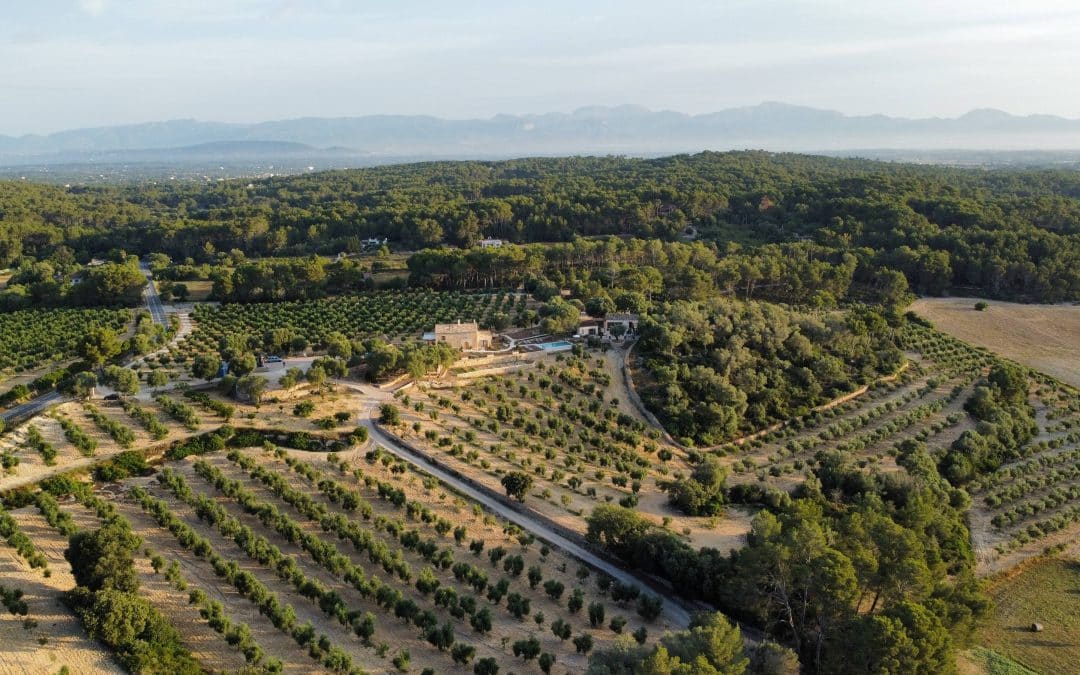 Treurer Triumphant: 2023 Harvest Wins Global Awards