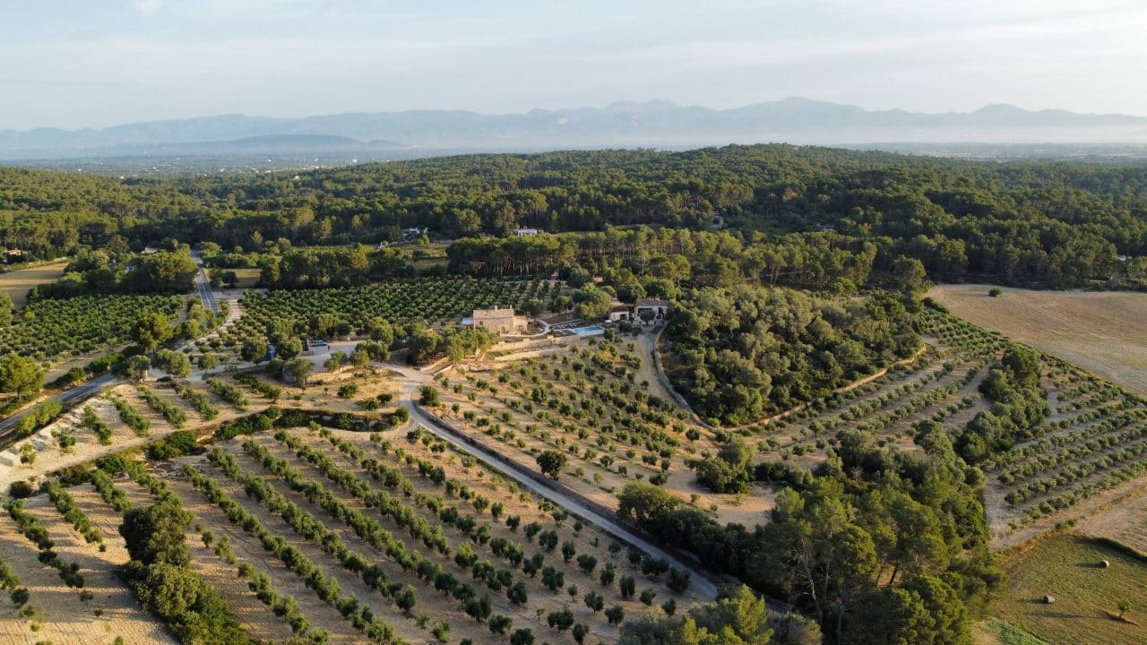 Treurer Triumphant: 2023 Harvest Wins Global Awards