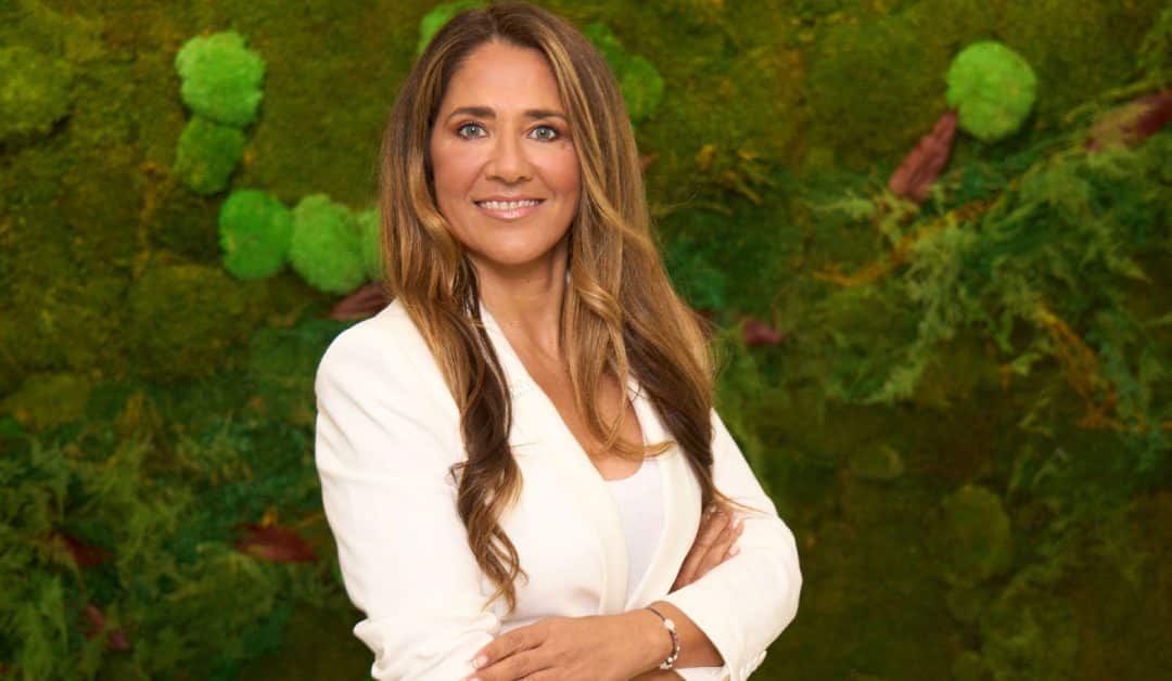 Introducing MEET-US: The new voice of the Spain-US Chamber