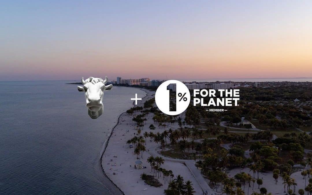 Crafting a sustainable tomorrow: The creative revolution at REGULAR ANIMAL