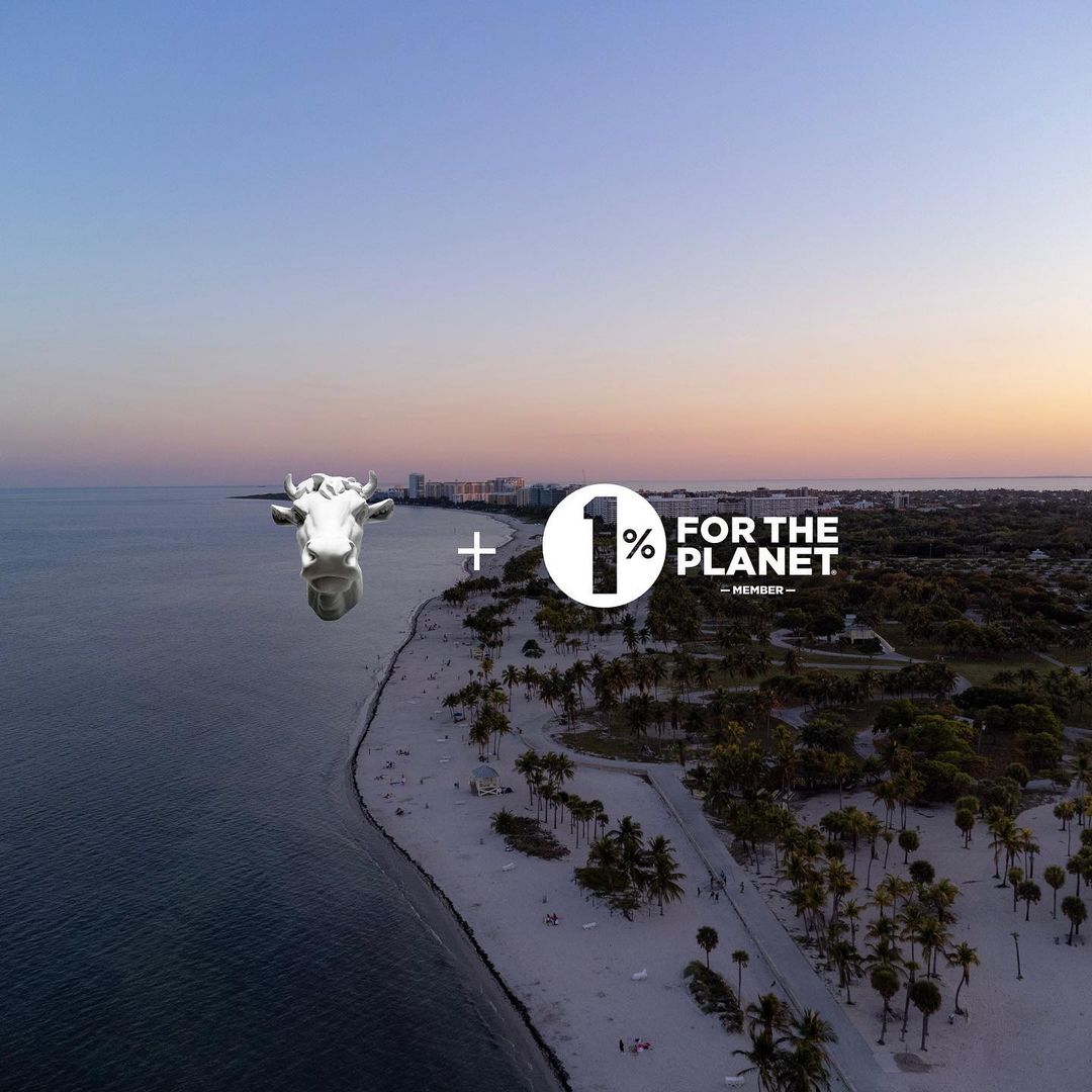 Crafting a sustainable tomorrow: The creative revolution at REGULAR ANIMAL