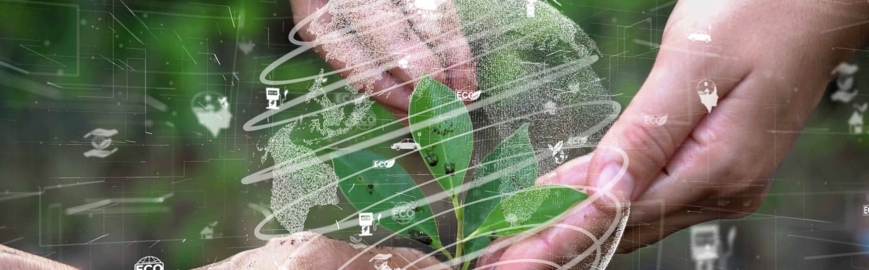 The Vital Role of the Technology Industry in Climate Sustainability