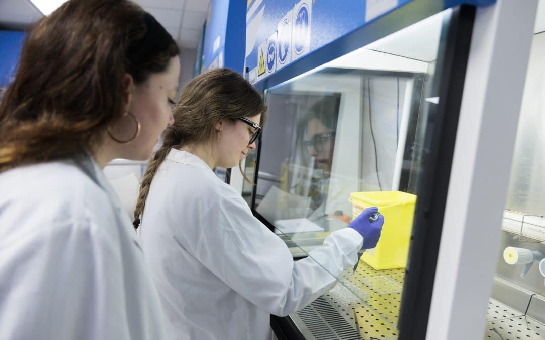 From Madrid to the World: Career Outcomes of Universidad CEU San Pablo Graduates