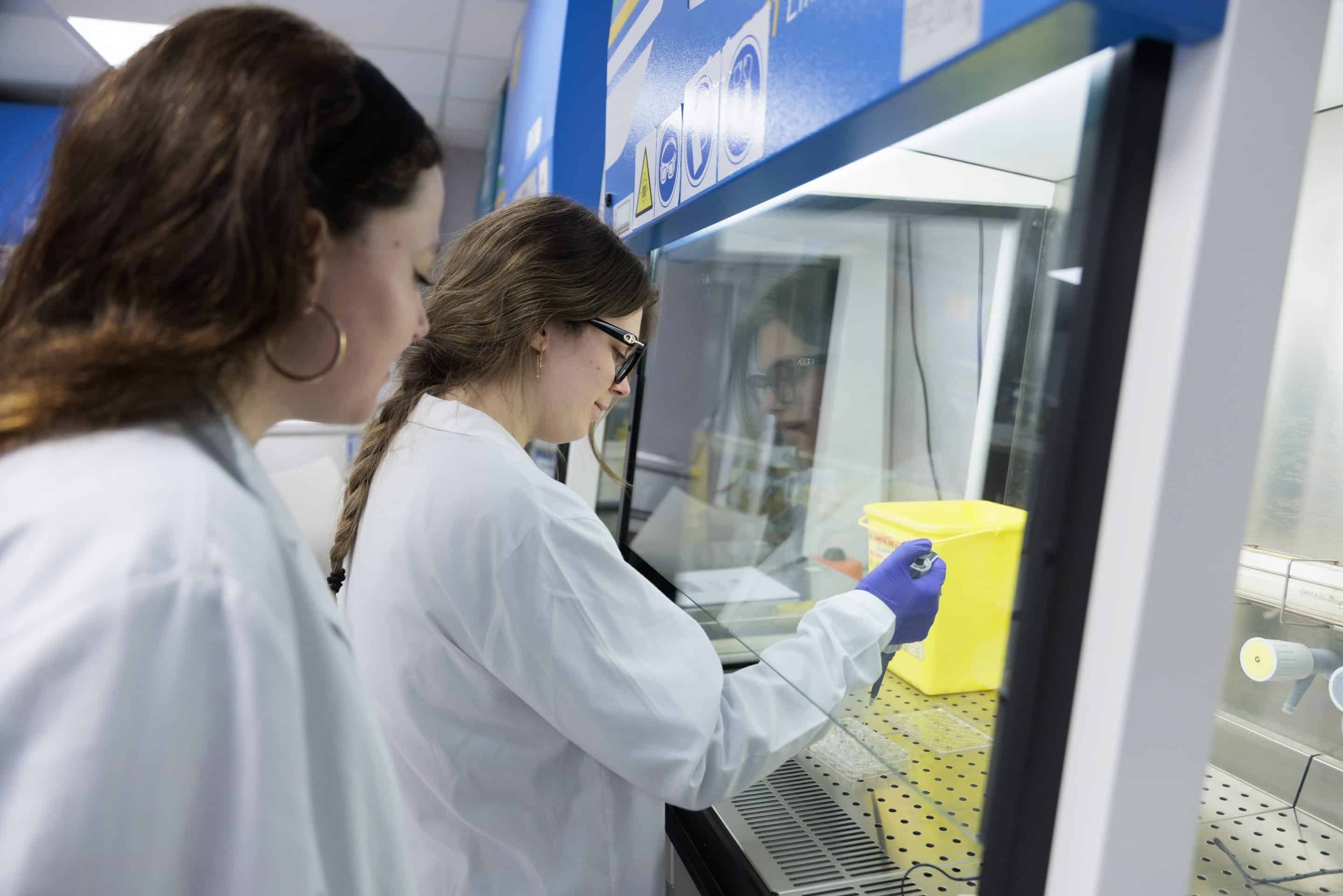 From Madrid to the World: Career Outcomes of Universidad CEU San Pablo Graduates
